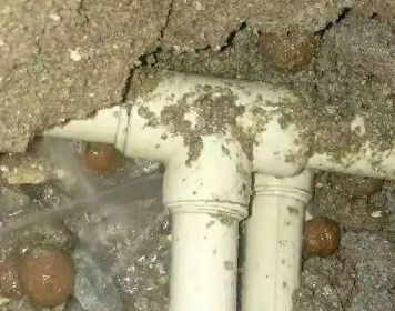 河西测漏水多少钱