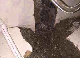 河西卫生间测漏水哪家好
