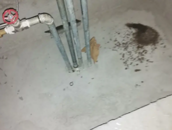 河西卫生间测漏水价格明细